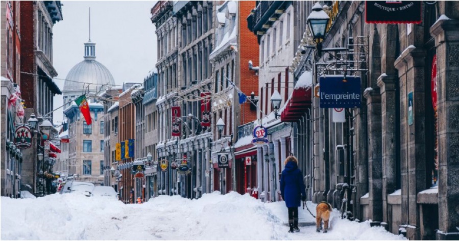 Монреаль занимает второе место среди пешеходных городов Канады