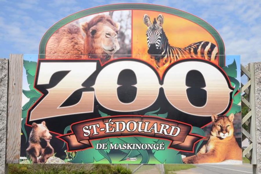 Владелец частного квебекского зоопарка арестован по обвинению в жестокости к животными
