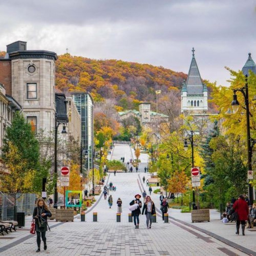 McGill назван одним из 50 лучших университетов мира