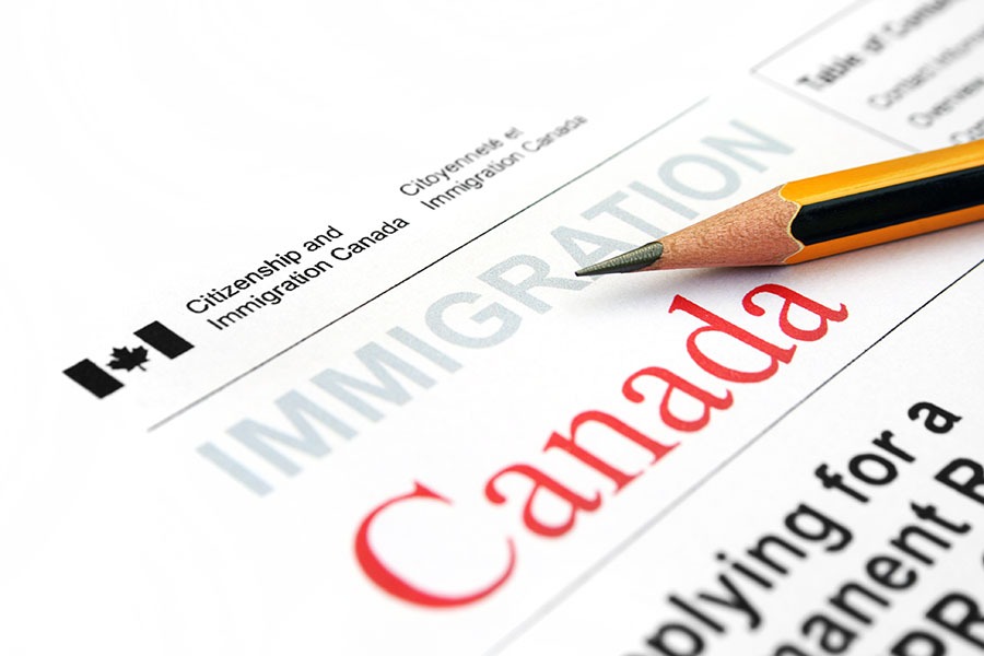 Иммиграция в условиях пандемии: июнь 2020